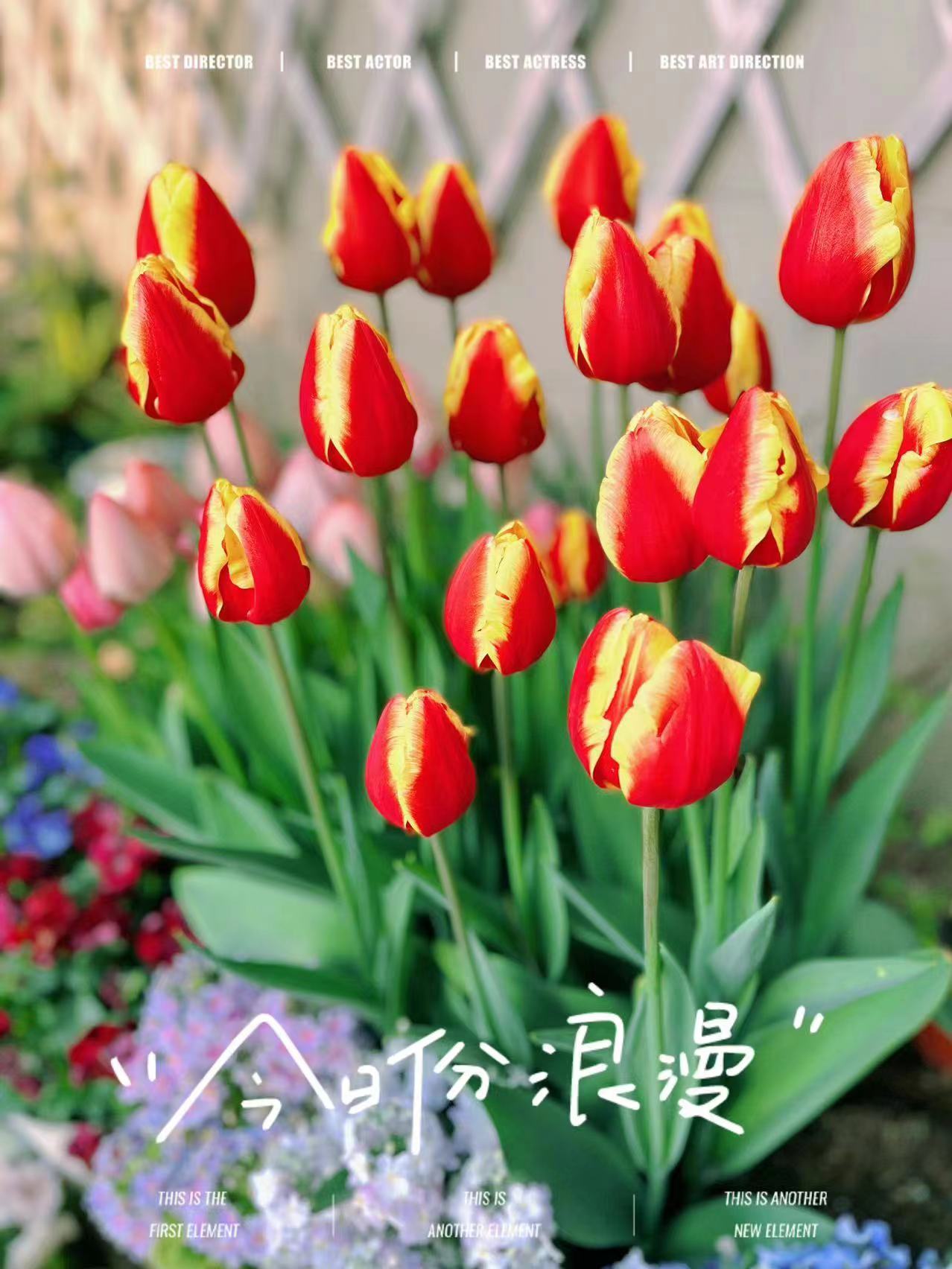 滿園春色